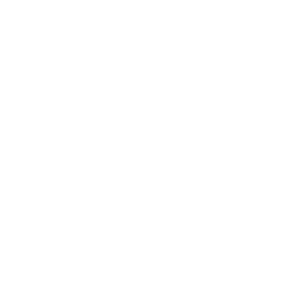 Responsive Design